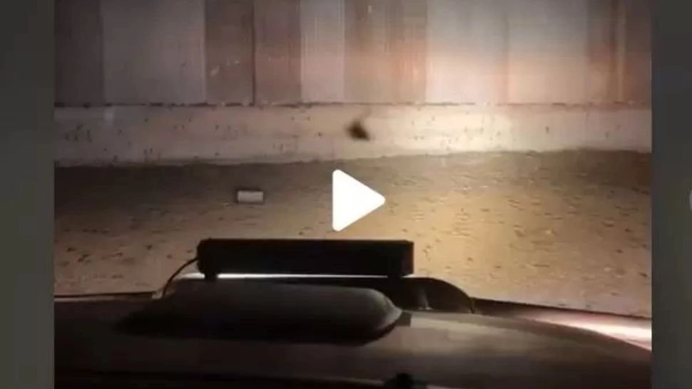 VIDEO – A văzut ceva la lumina farurilor, în garaj. Când s-a uitat mai bine, i s-a făcut rău