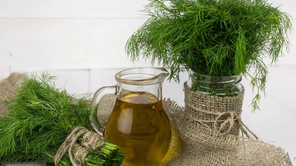 Ai pus mărar şi pătrunjel la congelator în pungi de plastic? Mare greşeală. Iată de ce