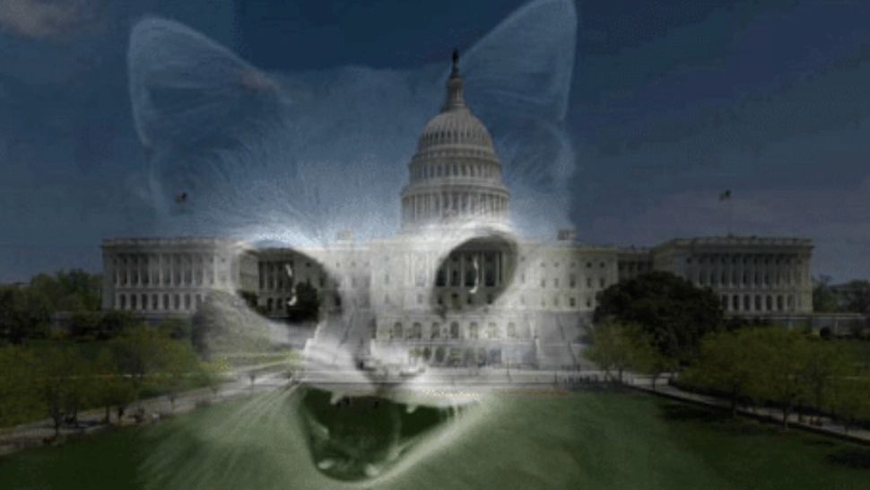 Legenda sumbră a Capitoliului. Pisica Demon care a prevestit asasinarea lui Lincoln și Kennedy