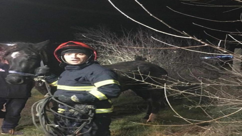 VIDEO | Acțiune SPECTACULOASĂ a pompierilor din TULCEA! Aceștia au salvat un cal care căzuse într-o groapă 