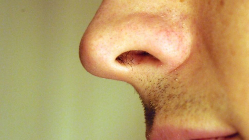 NU îţi mai smulge niciodată părul din nas! Explicaţia incredibilă a specialiştilor