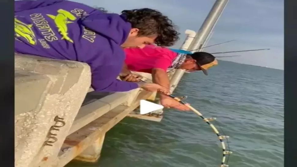 VIDEO – Trei bărbați s-au chinuit zeci de minute să scoată monstrul din apă – Cât de mare era peștele