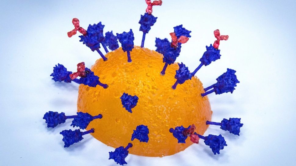 11,03 - valoarea EXPLOZIVĂ a incidenței COVID, de astăzi, din Capitală! Cifrele par de neoprit