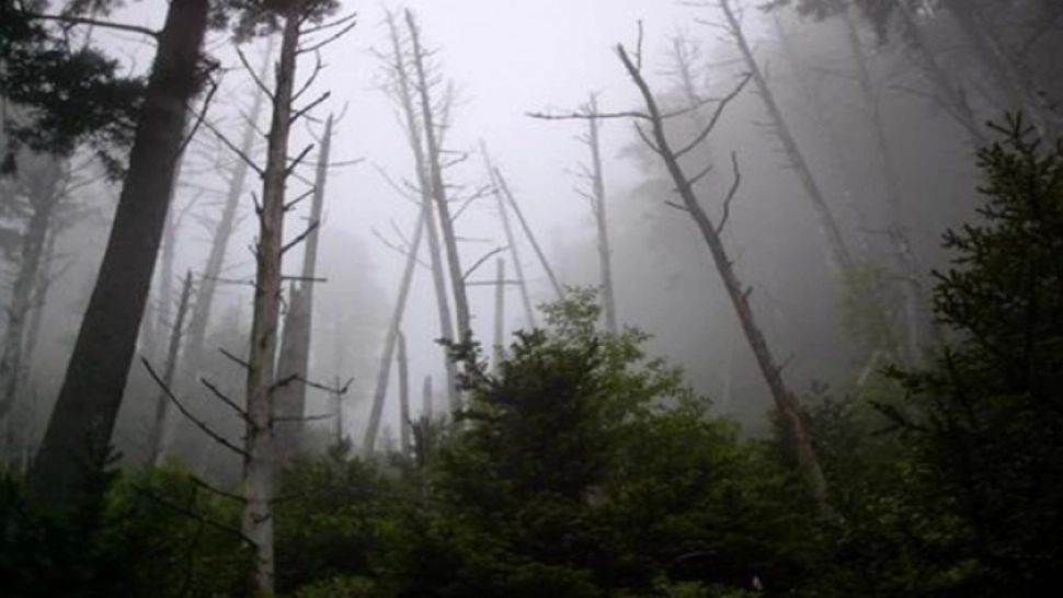 Locul blestemat din România. Râpa Diavolului – locul unde şi vulturul se teme