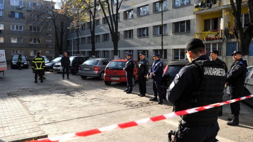 Judecătorii au dat sentința finală în cazul deratizării UCIGAȘE din Timișoara! Ce pedeapsă a primit patronul firmei 