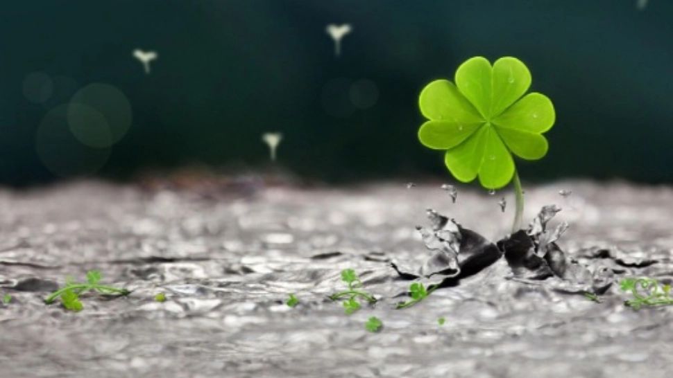 Horoscop 25 ianuarie. Zodia care cunoaște succesul. Câștiguri financiare uriașe 