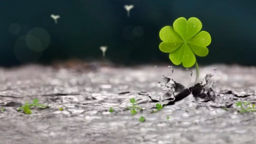 Cele două zodii cu noroc uriaș în următorii 3 ani. Grijile financiare, rispite peste noapte