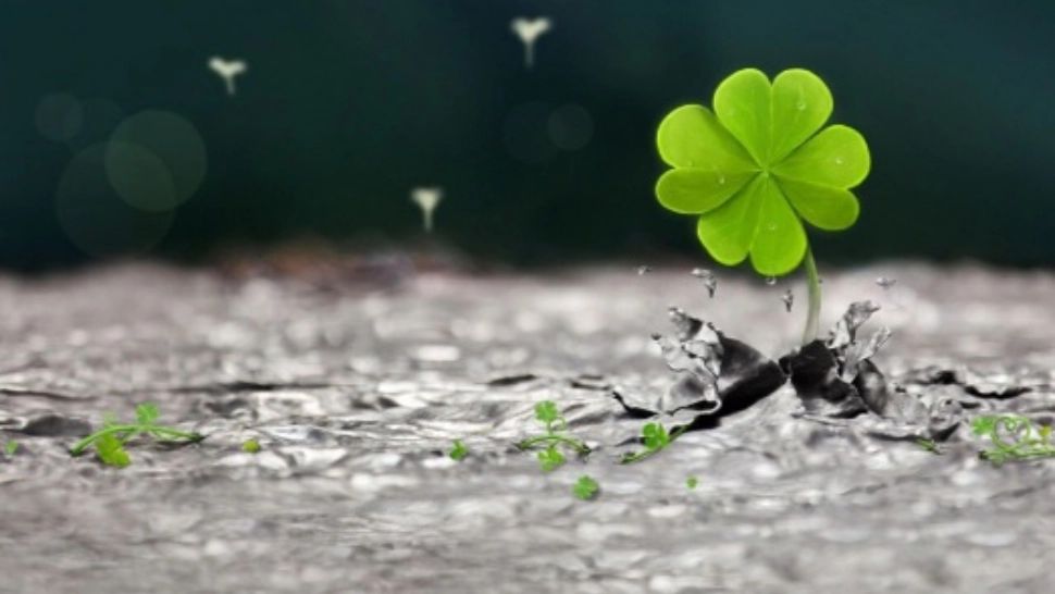 Horoscop 5 ianuarie. Zodia protejată de astre. Începe anul cu dreptul