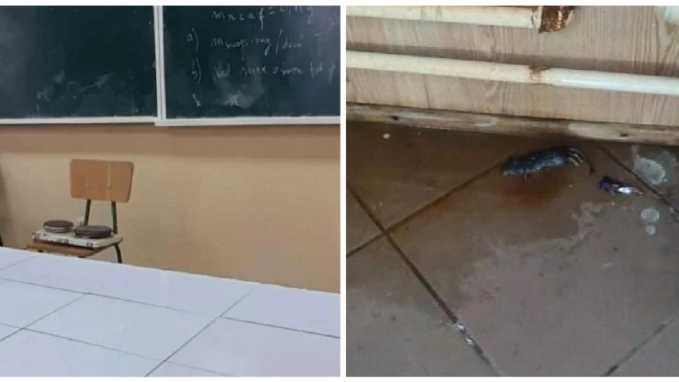 Liceul din România unde șoarecii mișună la picioarele elevilor - elevii, ținuți în frig și mizerie - VIDEO