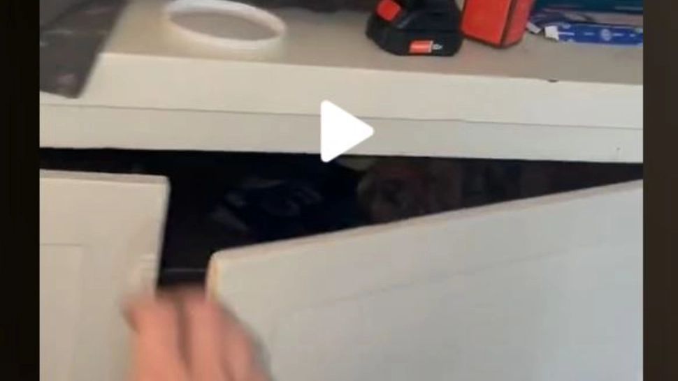 VIDEO – Ce a găsit un bărbat în locuința surorii sale – A deschis un dulap și s-a îngrozit – Era o întreagă camera secretă