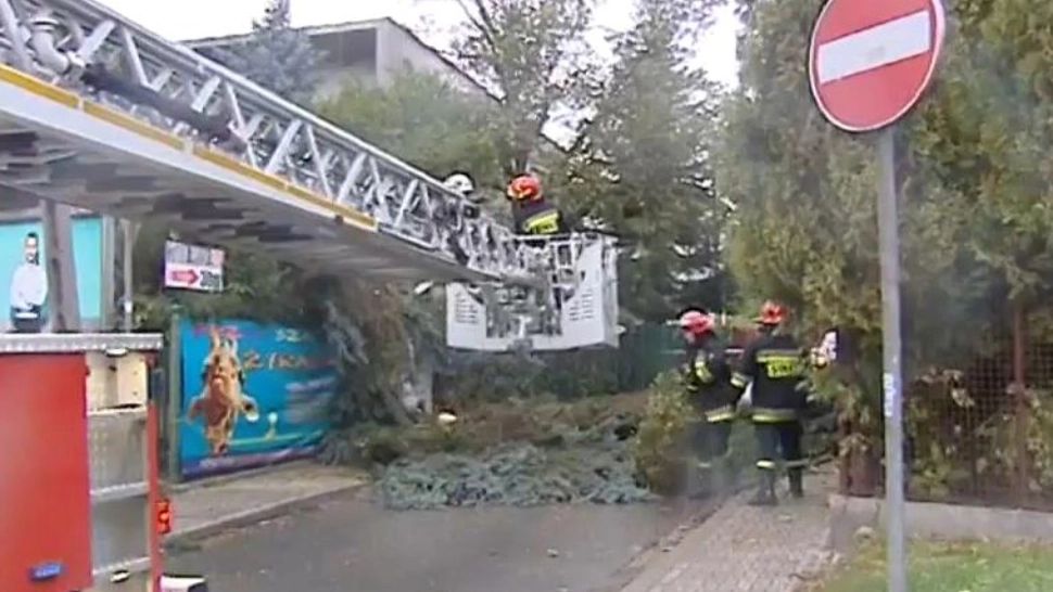 FURIA naturii în Europa! Mai mulți morți după o furtună VIOLENTĂ. Trenuri, zboruri și trafic blocat