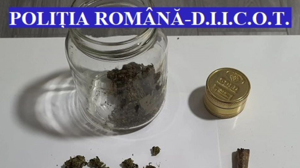 VIDEO | Percheziții la o grupare specializată în trafic de droguri. 35 de persoane au fost conduse la Poliție