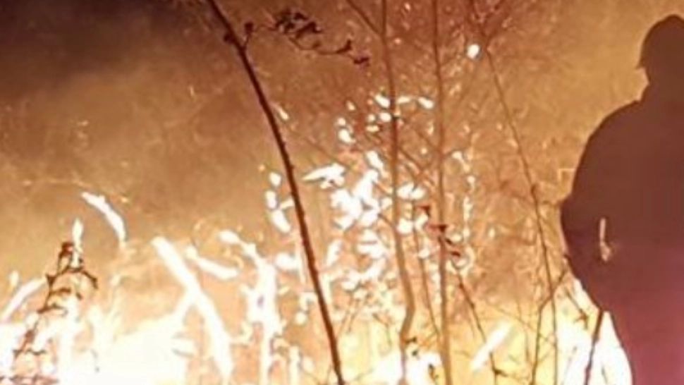 VIDEO Incendii de vegtație URIAȘE pe dealurile Buzăului. Pompierii au intervenit cu efective sporite