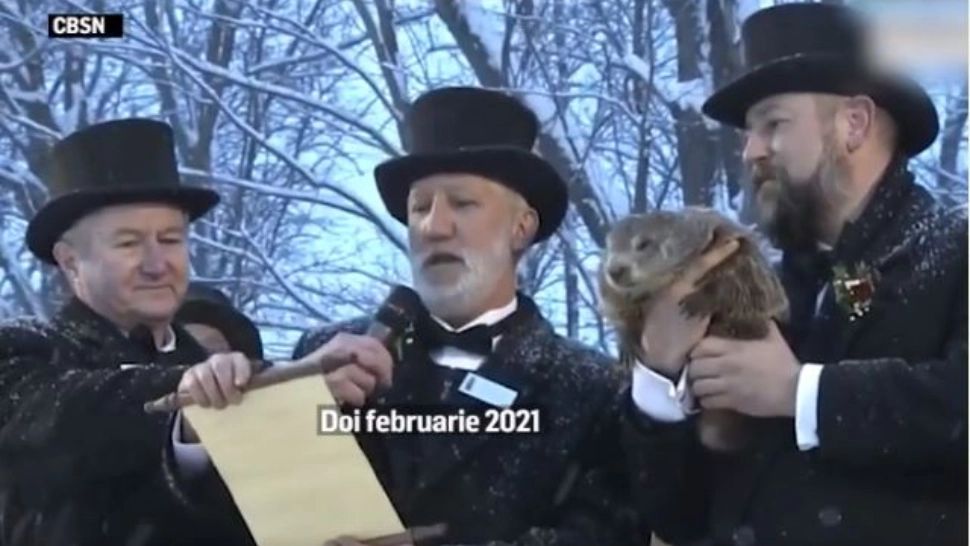 A murit celebra cârtiță Phill, cel mai cunoscut meteorolog din lume