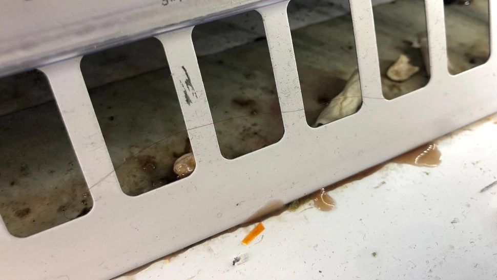 Nereguli GRAVE la un lanț de magazine din Capitală! Șeful ANPC: Indolența a luat amploare. Amenzile sunt prea mici