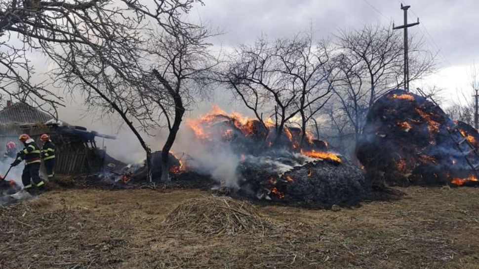 FOTO | Incendiu la un adăpost de animale din Botoşani. Focul a fost pus intenţionat