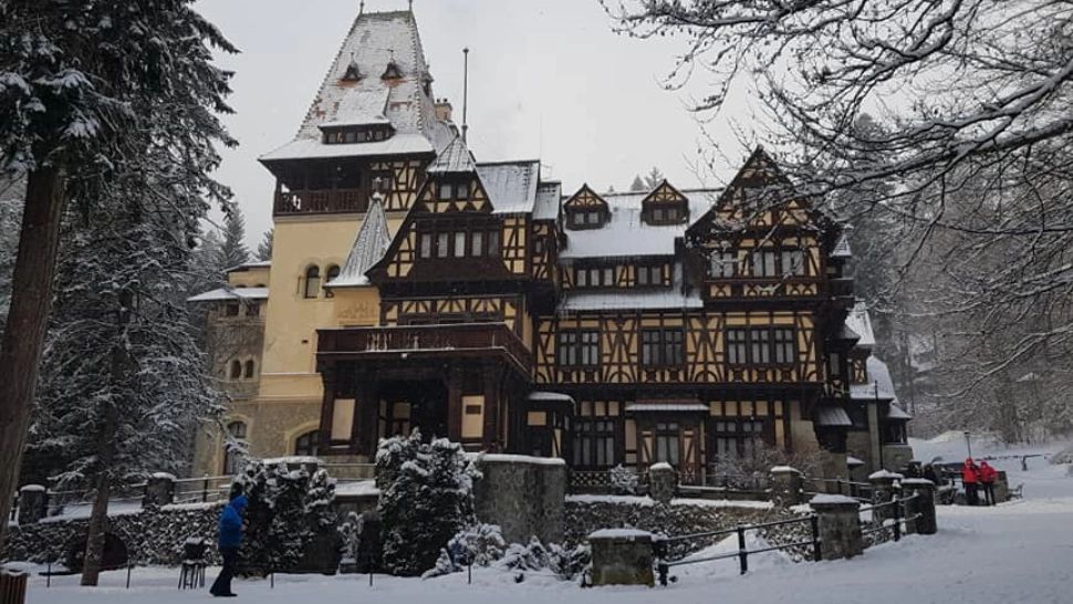 RO-ALERT în Sinaia, la Castelul Peleș! Mesajul a fost emis pentru a semnala prezenţa unei URSOAICE cu pui