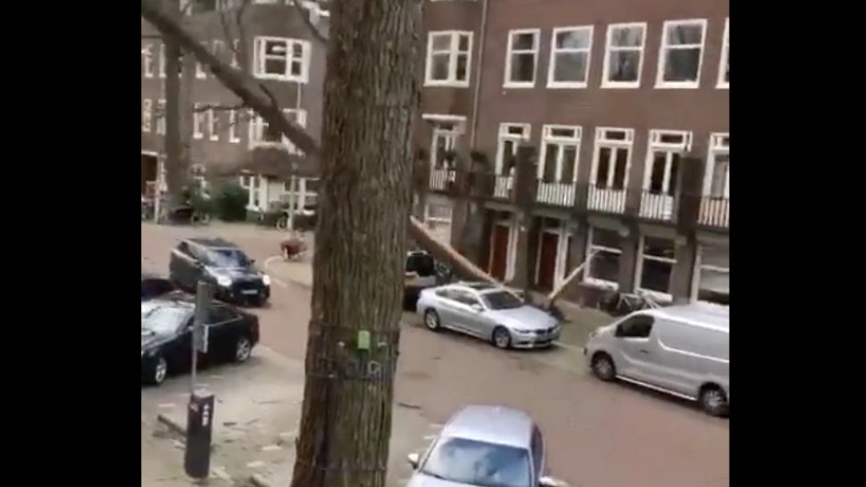 Video INEDIT! Un șofer a înșelat MOARTEA. Videoclipul face înconjorul internetului. O secundă a făcut diferența 