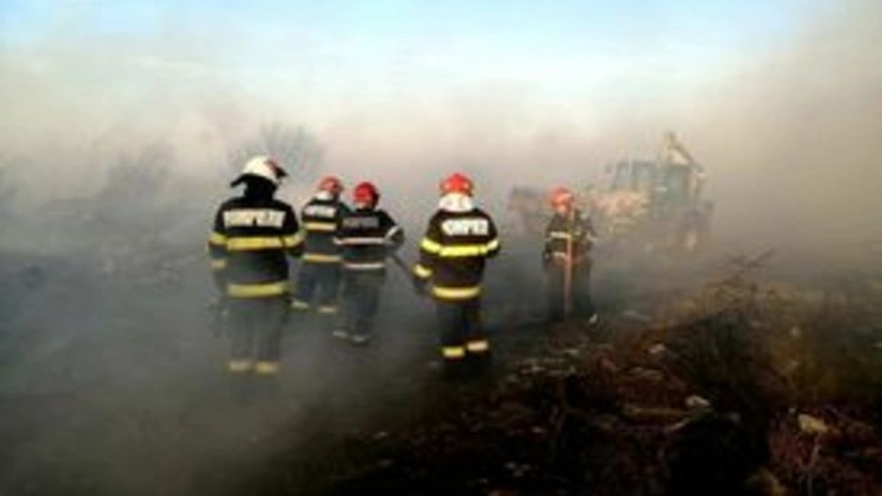 INCENDIU de amploare la Bolintin Vale, din cauza arderilor ilegale! Acționează autospeciale din Giurgiu şi Ilfov 