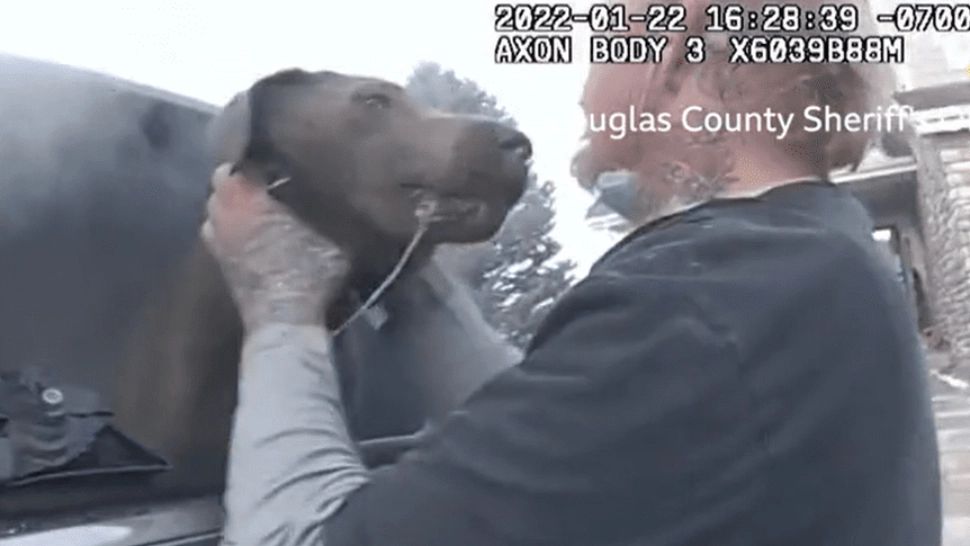 VIDEO | Salvare MIRACULOASĂ! Un câine este scos dintr-o mașină în flăcări în ultimul moment