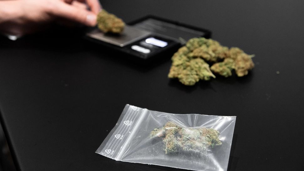 Cazul profesorului dealer din județul Bacău. Dascălul vindea canabis cultivat în casa bunicilor - Cine era CĂRĂUȘUL