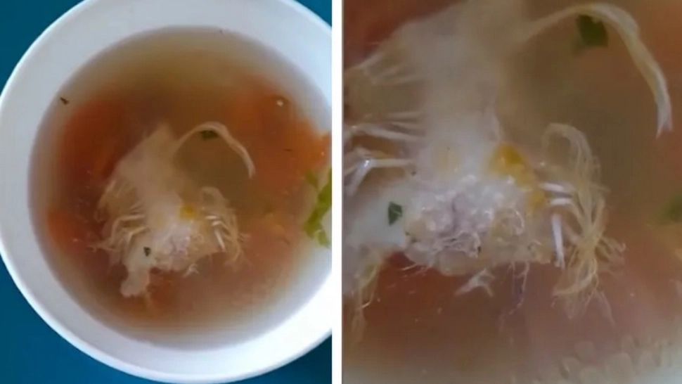 Meniu dezgustător la Spitalul Județean Baia Mare: supă de pui cu pene