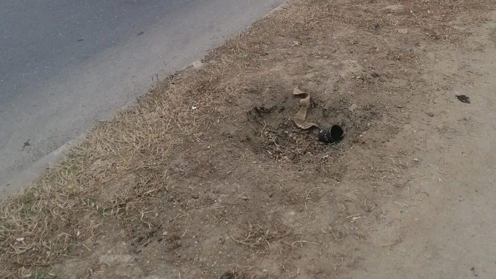 În București, ca în codru. S-au furat copacii plantați de Primăria Sectorului 6 pe Calea Giulești