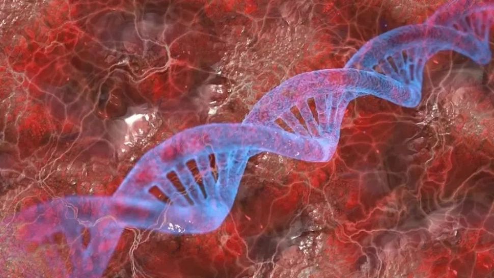 "Focul vindecător" - Ceaiul care curăță sângele: remediu minune pentru organism