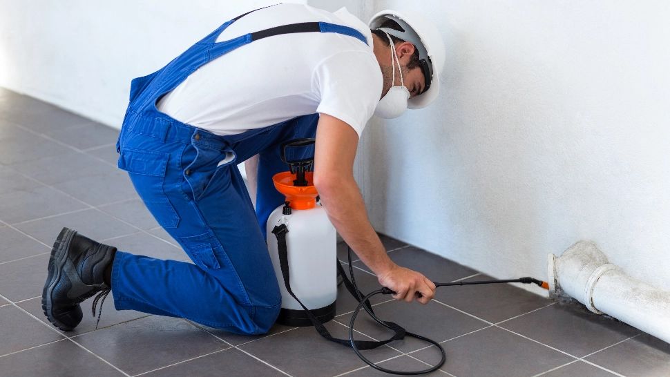 Au făcut dezinsecție în casă, iar acum toată familia a ajuns la spital