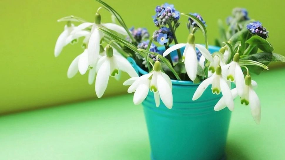 Horoscop 1 martie. Bucurii și beneficii pentru toate zodiile. Ziua în care toate dorințele se împlinesc