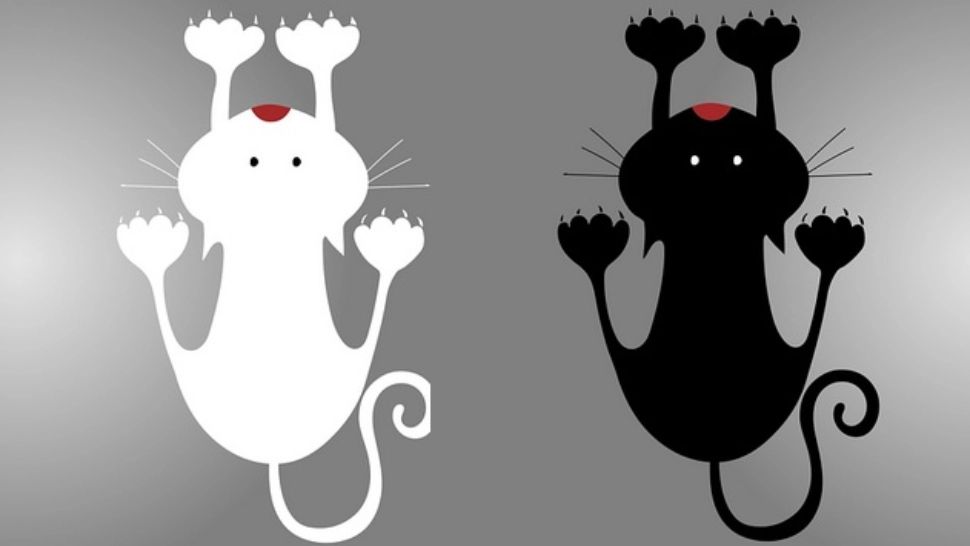 Cum stai cu norocul și ghinionul, în funcție de zodia în care te-ai născut. Cum să-ți păcălești soarta