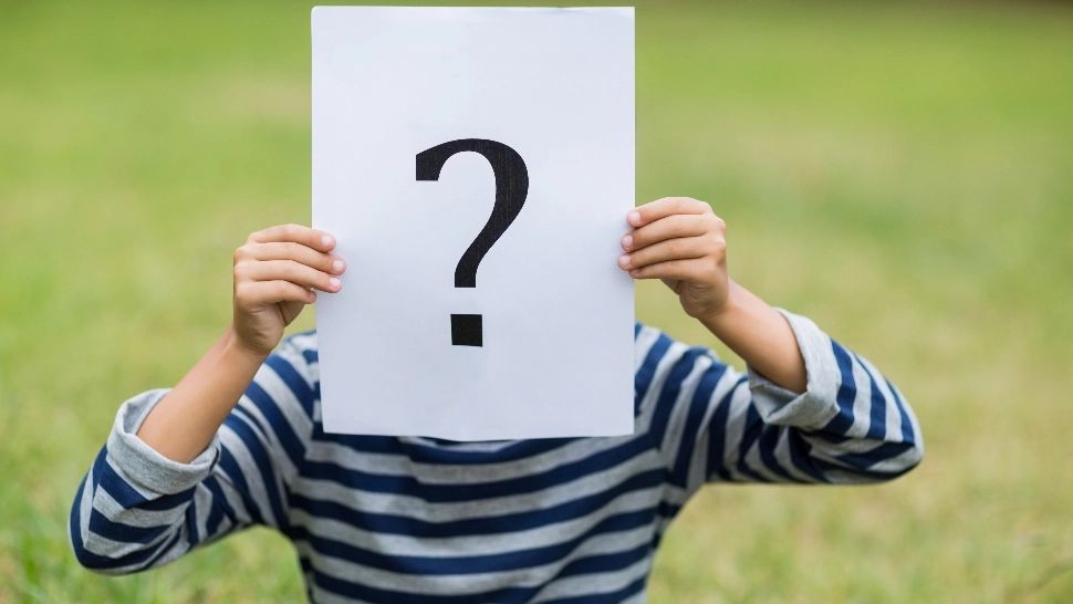 Imaginea care a ajuns virală pe internet. Câte triunghiuri sunt în imagine