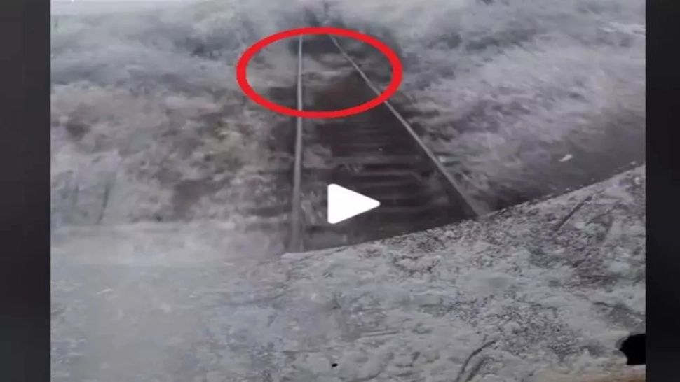 VIDEO – Ce a filmat un mecanic de tren chiar din locomotivă, în zona Aradului – Imaginile au devenit virale