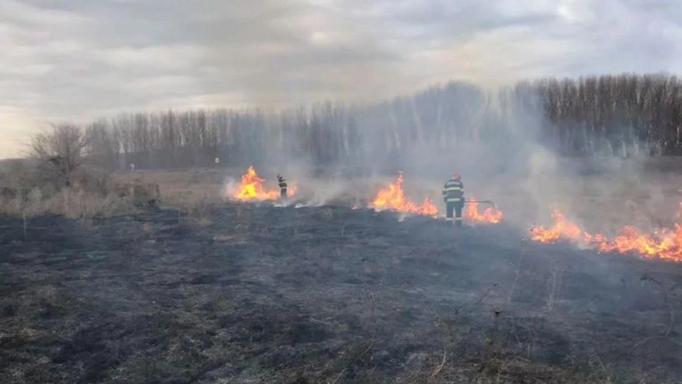 Incendiu DEVASTATOR în Tulcea. 30 de hectare de pamânt au ars în întregime