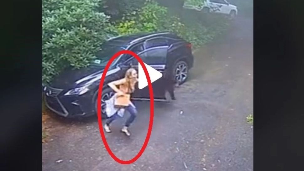 VIDEO – A cules câteva mere și a vrut să intre înapoi în mașină – Când a văzut ce era înăuntru, a luat-o la fugă țipând