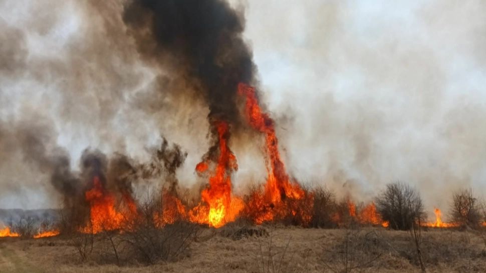 FOTO + VIDEO | Incendiu violent de vegetație în județul Tulcea. Pompierii au intervenit de urgență