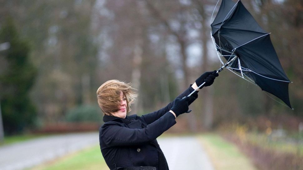 Cod galben de vânt puternic în mai multe județe. Care sunt zonele vizate 