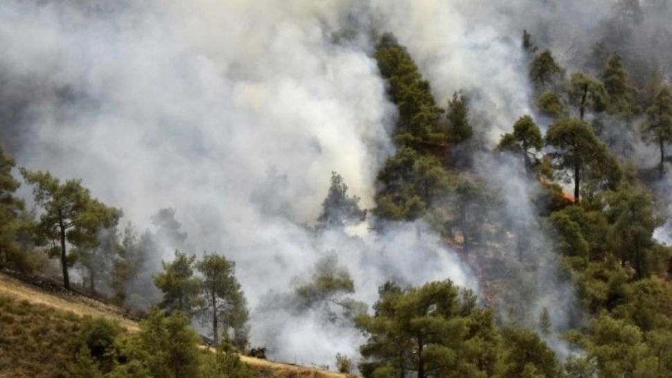 Incendiu devastator în Grecia. 6 sate din apropiere de Atena au fost evacuate 