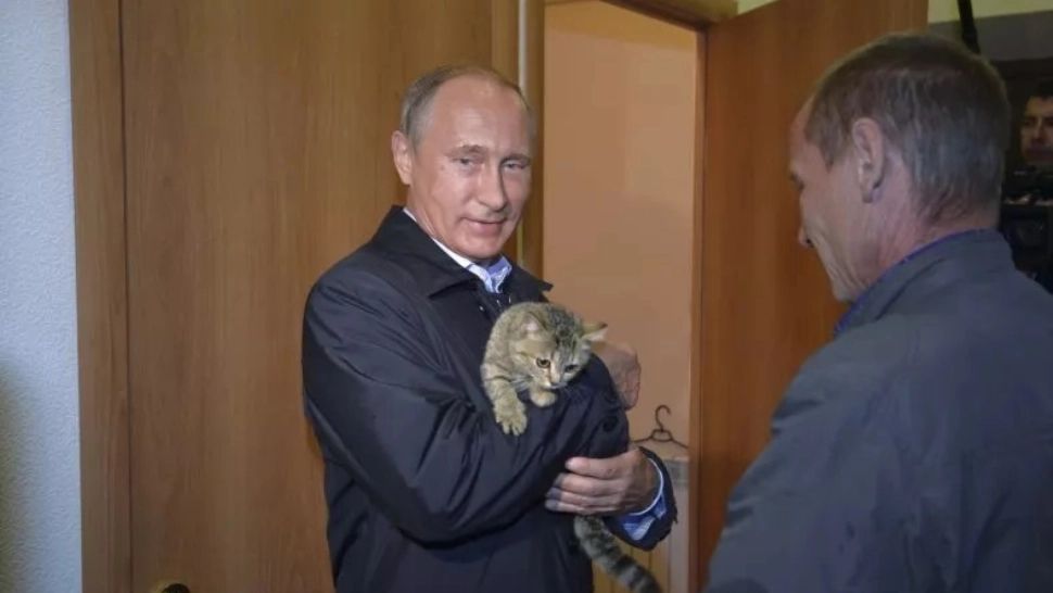 TikTok și-a suspendat o serie de servicii în Rusia, ca urmare a legii date de Vladimir Putin