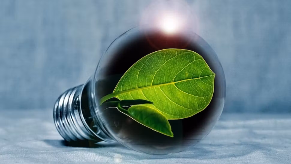 Nicolae Ivăniși: „Dacă se votează legea decarbonizării, punem capăt independenței energetice a României”