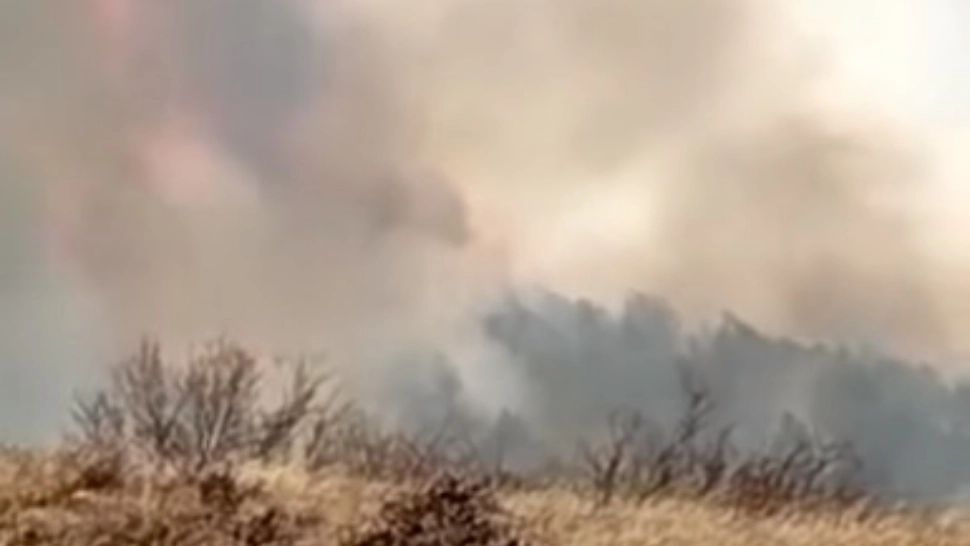 VIDEO Alertă în județul Buzău, incendii uriașe de vegetație în zona Breaza. Poluarea, comparabilă cu cea din Ucraina