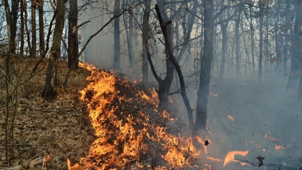 Incendiu devastator, în comuna Dragomirești, jud. Vaslui: 130 de hectare, mistuite