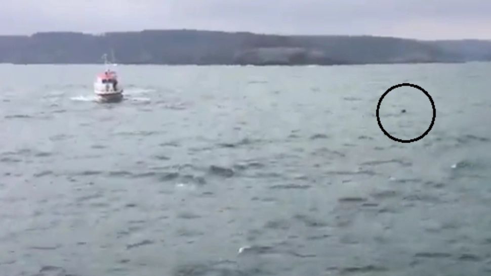 Alertă pe Marea Neagră, autoritățile din Turcia au reperat 2 obiecte ce par a fi MINE MARINE