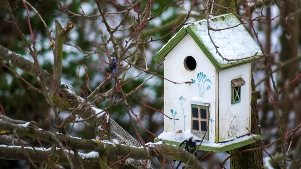 Schimbare radicală a vremii. De săptămâna viitoare trecem în alt anotimp