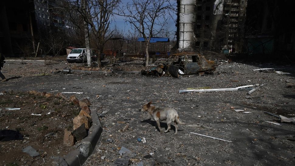 Alte 70 de cadavre găsite sub o clădire bombardată din Mariopol! Corpurile erau în stare avansată de descompunere