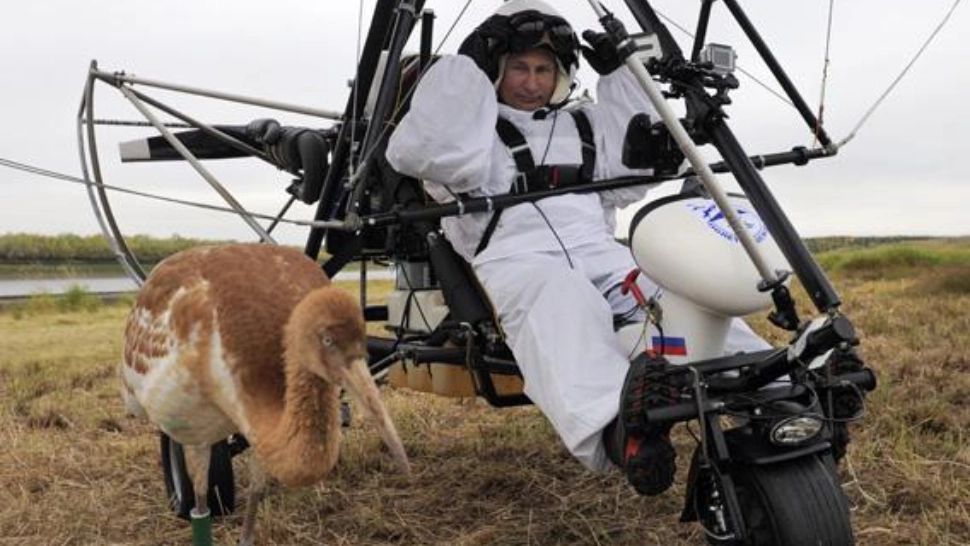 Propaganda rusă: Păsări migratoare, trimise din Ucraina să răspândească virusuri în Rusia