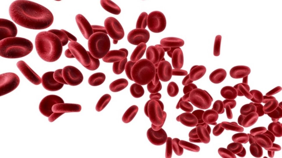 Cele mai eficiente remedii care scad zahărul din sânge. Salvare pentru diabetici