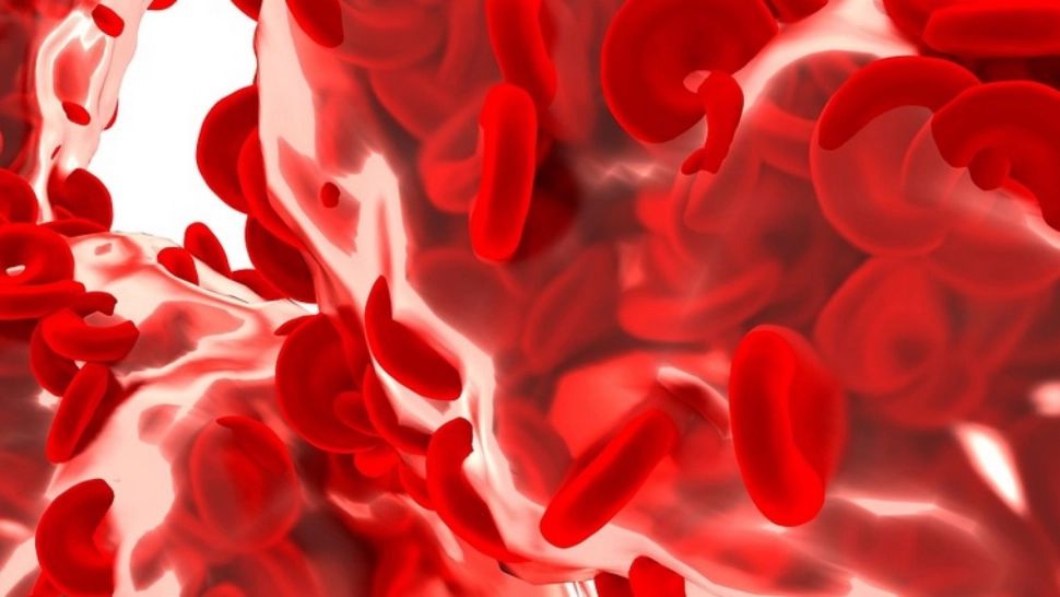 3 ingrediente care îți distrug sistemul imunitar și vasele de sânge