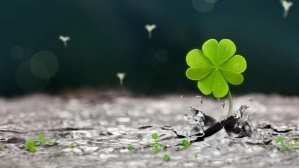 Cadoul special oferit de Univers, în funcție de luna în care te-ai născut. Zodiile protejate de GHINION și NECAZ