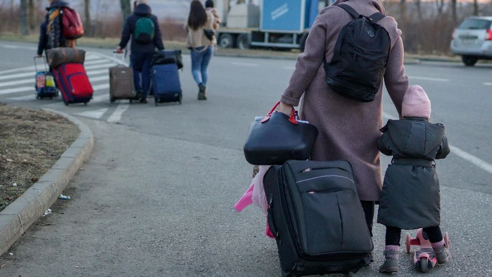 O rusoaică, urmărită internațional, descoperită la Vama Siret. Era însoțită de un copil